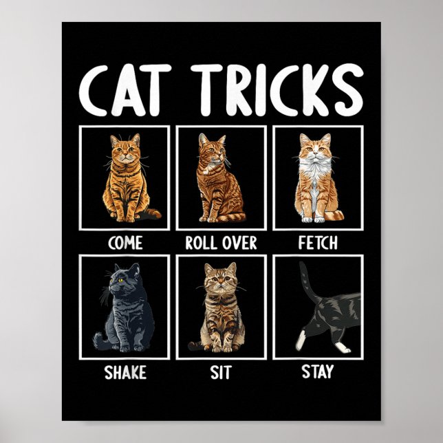 Cats Funny Cat Tricks Poster (Framsidan)