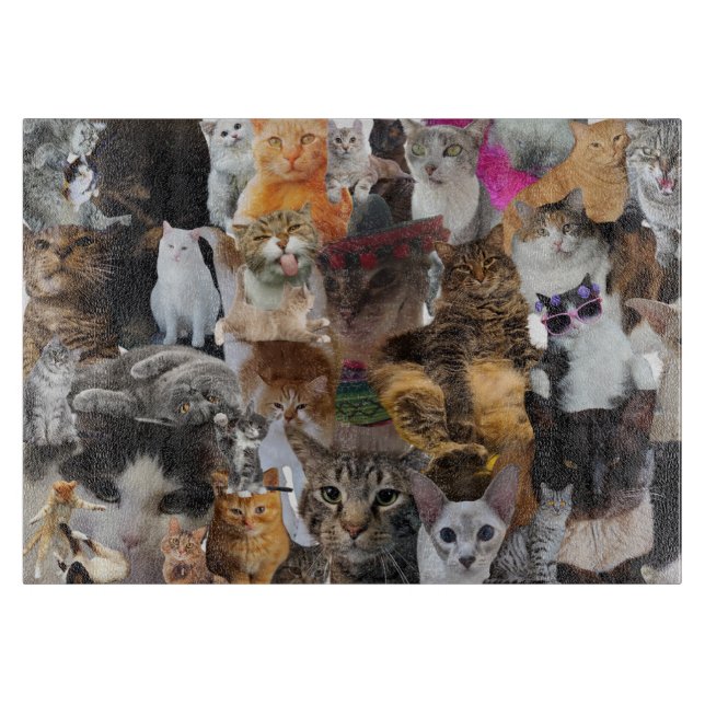 Cats Galore, stort glas (Framsidan)
