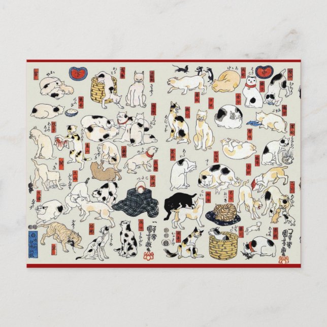 Cats Galore Vykort (Framsida)