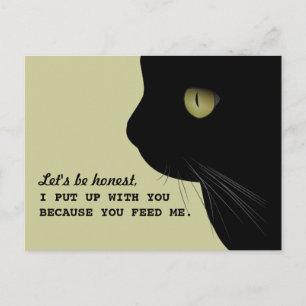 Cats Heligaste Attityd Funny Postcard Vykort