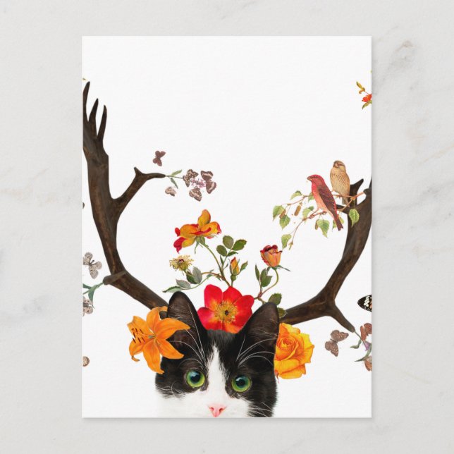 Cat's Horns Vykort (Framsida)