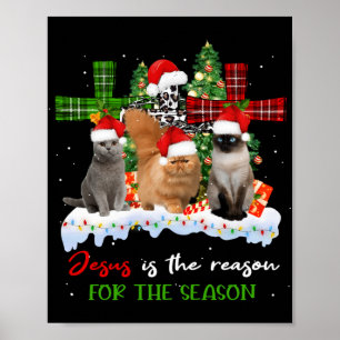Cats Jesus är orsak till säsongsjulen Ugly Poster