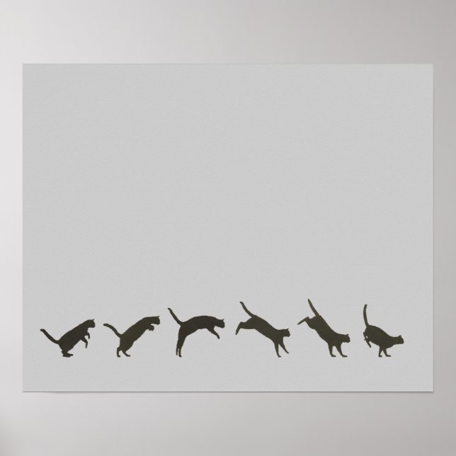 Cats Jumping Poster (Framsidan)