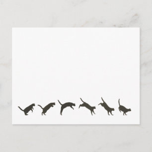 Cats Jumping Vykort