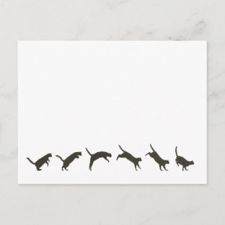 Cats Jumping Vykort
