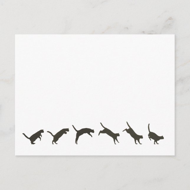 Cats Jumping Vykort (Framsida)