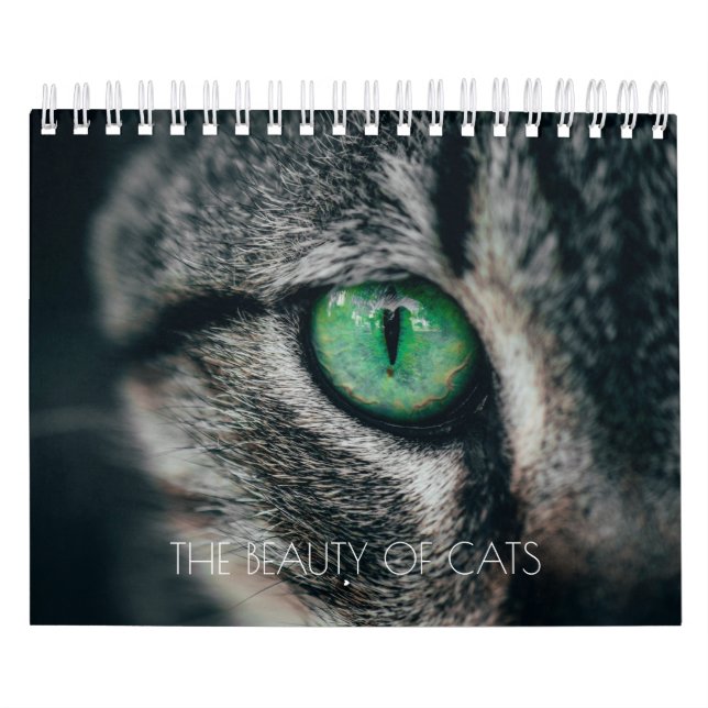 CATS-KALENDERS BEDÖMNING KALENDER (Omslag)