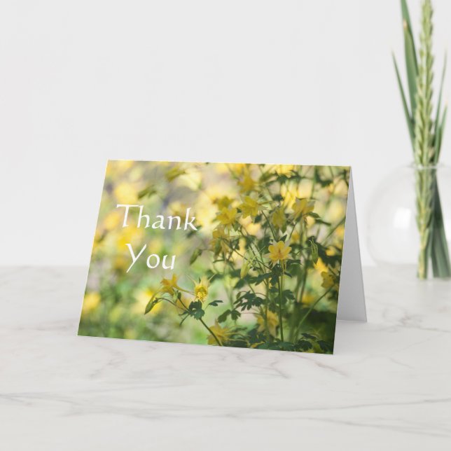 Cats-Klo Tack Kort (Framsida)