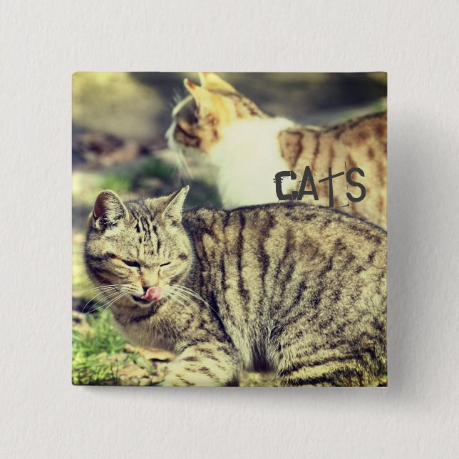 Cats Knapp (Framsida)