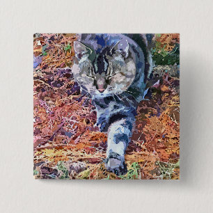 CATS KNAPP