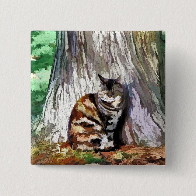 CATS KNAPP (Framsida)