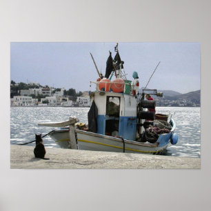 Cats Lunchboat Poster