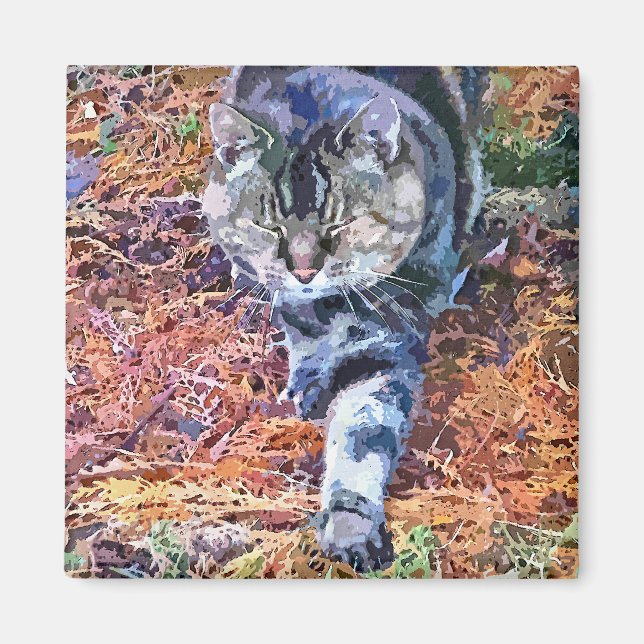 CATS MAGNET (Framsidan)