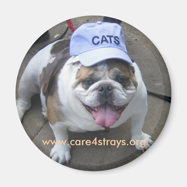 CATS Magnet: Magnet (Framsidan)