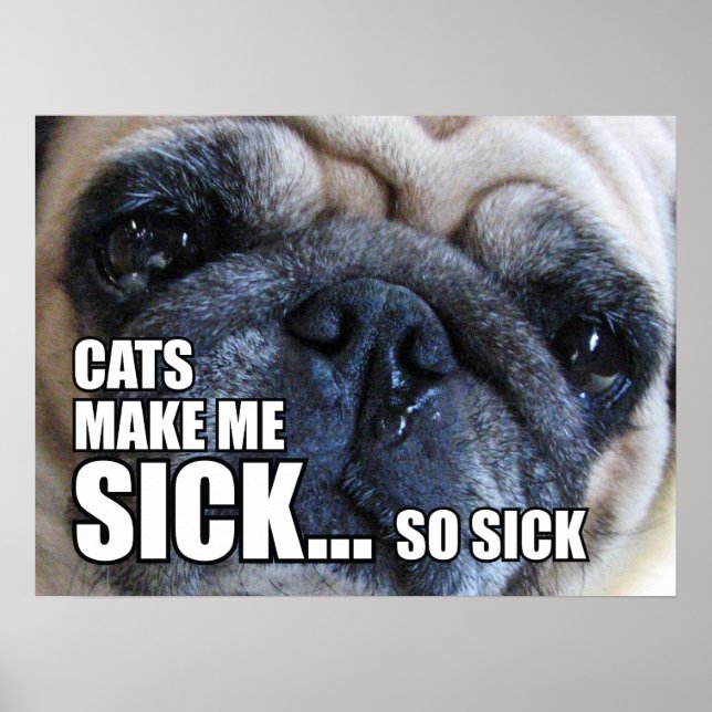 CATS MAKE ME SICK... SO SICK | ALLERGY MEME POSTER (Framsidan)