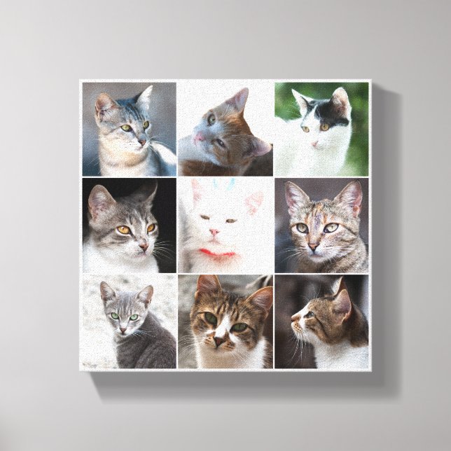 CATS - mall Canvastryck (Framsida)
