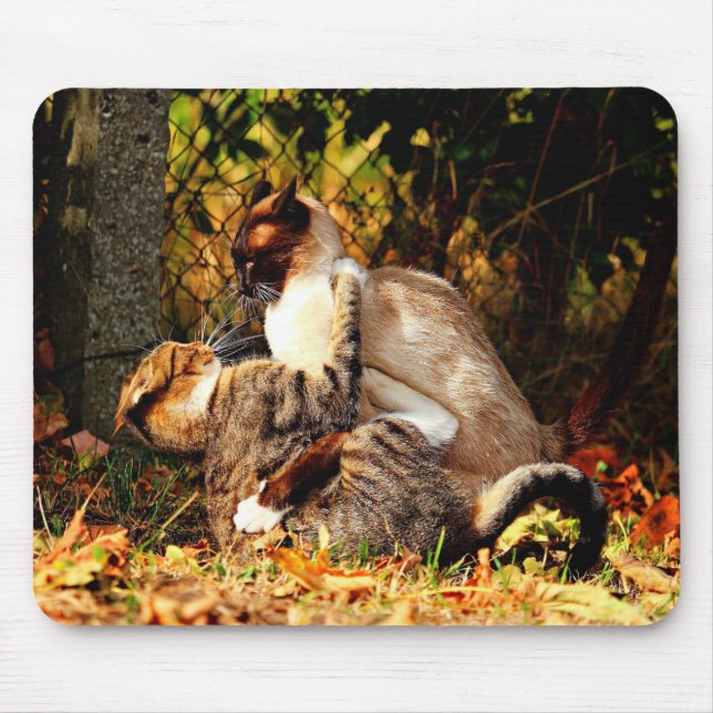 Cats Mousepad Musmatta (Framsidan)