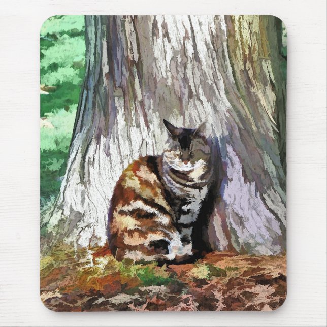 CATS MUSMATTA (Framsidan)
