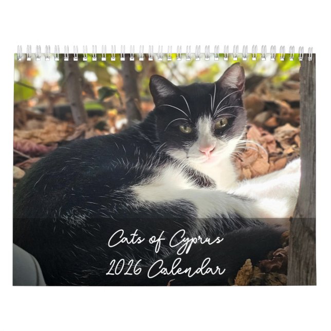 Cats of Cyprus 2026 B by PaphosLife Calendar Kalender (Omslag)