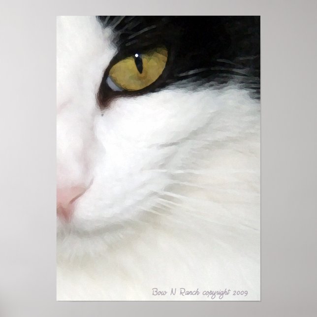 Cats Öga Poster (Framsidan)
