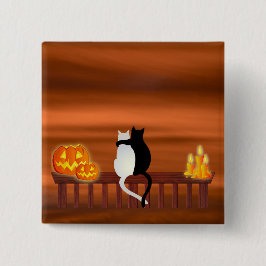 Cats Pumpkins Candles Halloween Knapp