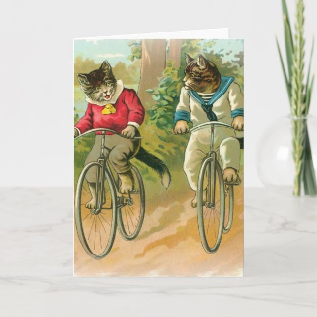 Cats Riding Bikes Kort (Framsida)