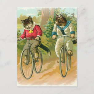 Cats Riding Bikes Vykort