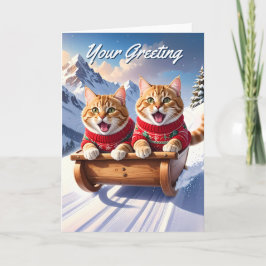 Cats Sled Ride Kort
