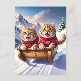 Cats Sled Ride Vykort