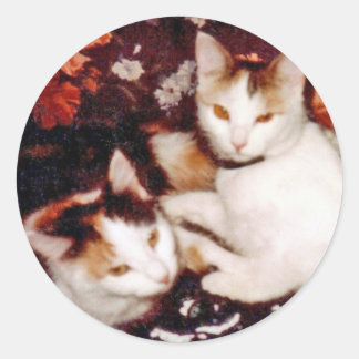 Cats Sticker Runt Klistermärke