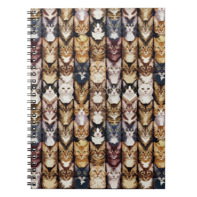 Cats struktur anteckningsbok (Framsidan)