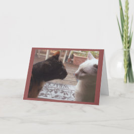 Cats Välkommen Kort