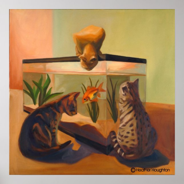 Cats watching Fish Poster (Framsidan)