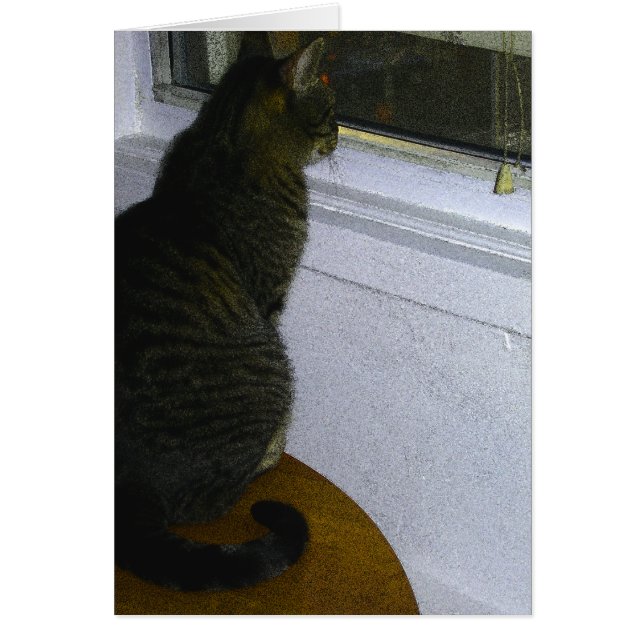 Cats World Hälsningskort (Framsidan)