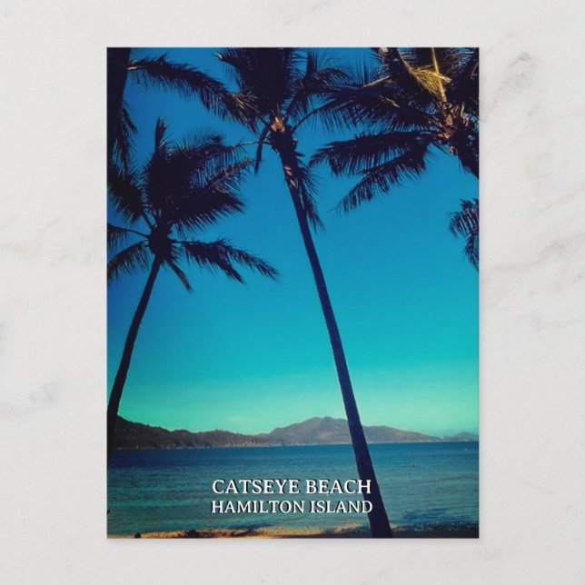 Catseye Beach, Hamilton Island Vykort (Framsida)