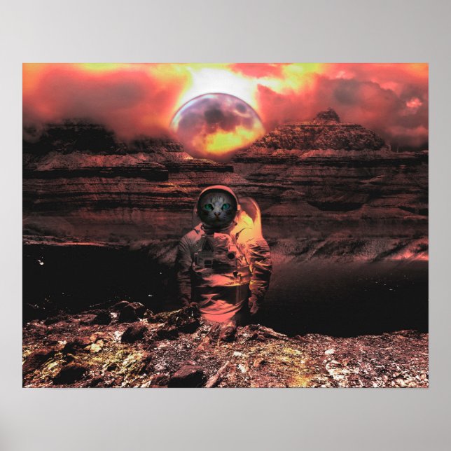 Catstronaut Poster (Framsidan)