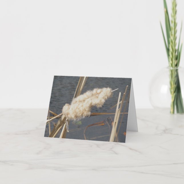 Cattail in March Note Note Card Helgkort (Framsida)