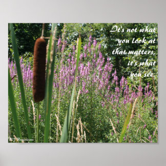 Cattail & Wildblominspiration Poster