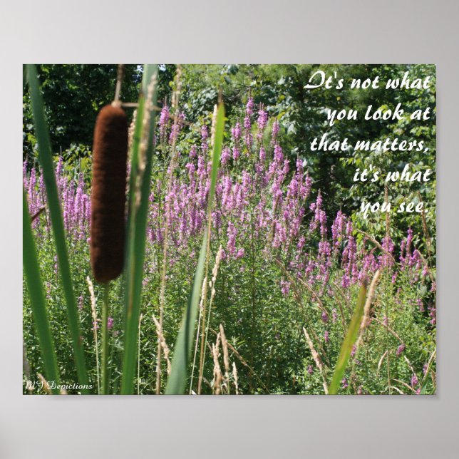 Cattail & Wildblominspiration Poster (Framsidan)