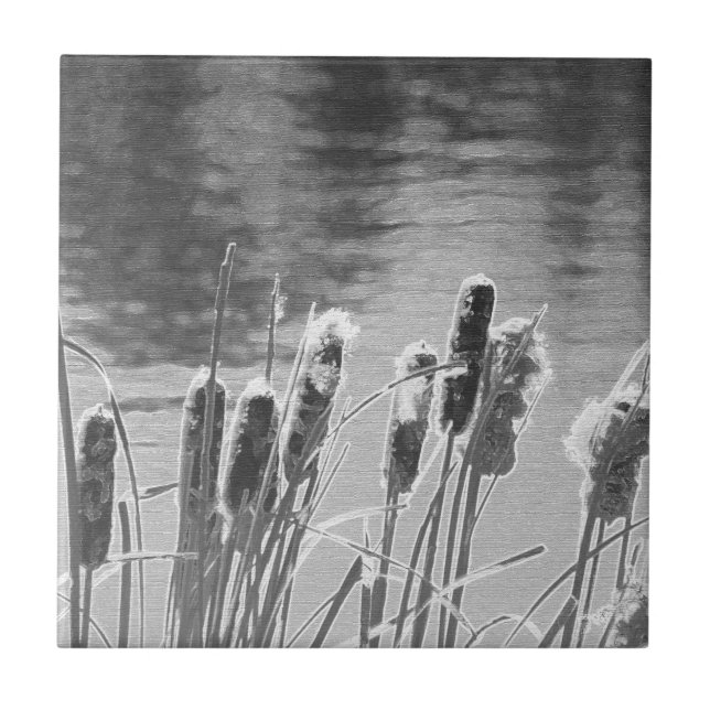 Cattails by the Pond in Black and White Kakelplatta (Framsidan)