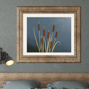 Cattails Fine Art Print Poster