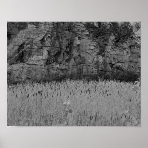 Cattails för stenvillebrådvägg 1 svart vittryck poster