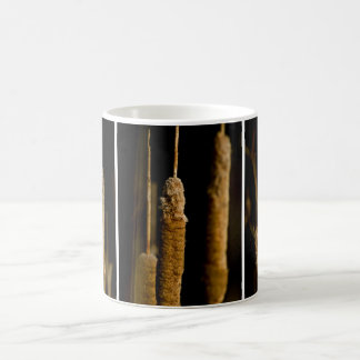 Cattails Kaffemugg