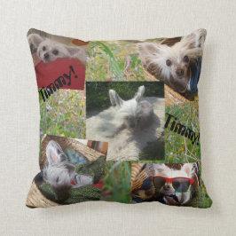 Cattails och gullig hund kudde