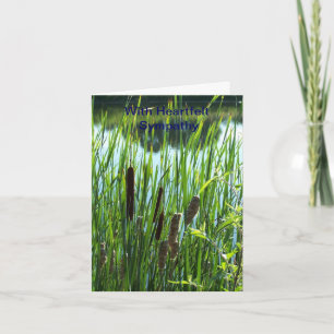 Cattails på damm, sympati kort