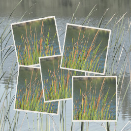 Cattails Waterfront Photographic Sjö Pappersservett