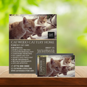 Cattery, Pet Boarding Service, Advertising Flygblad