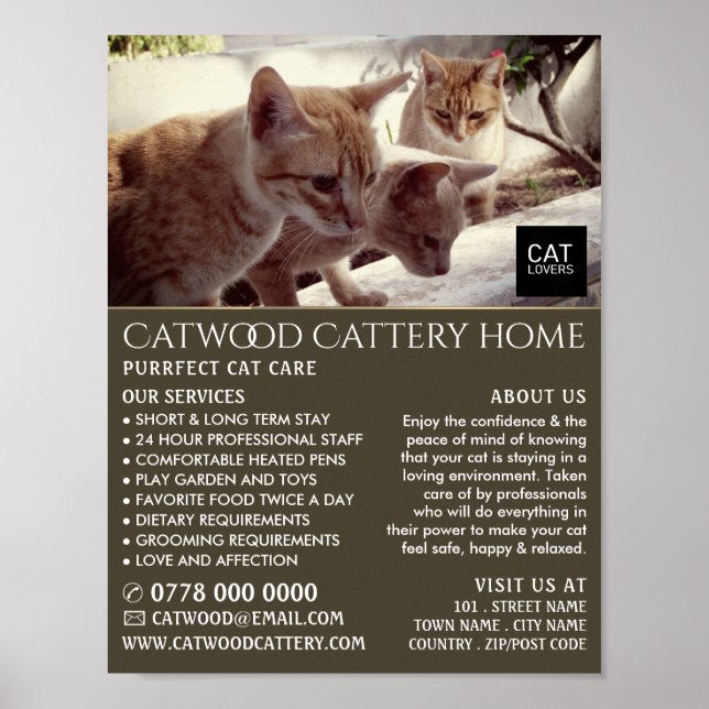 Cattery, Pet Boarding Service, Advertising Poster (Framsidan)