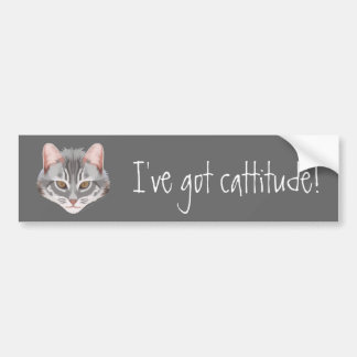 Cattitude bildekal