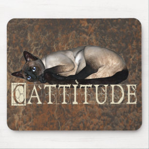 Cattitude Musmatta